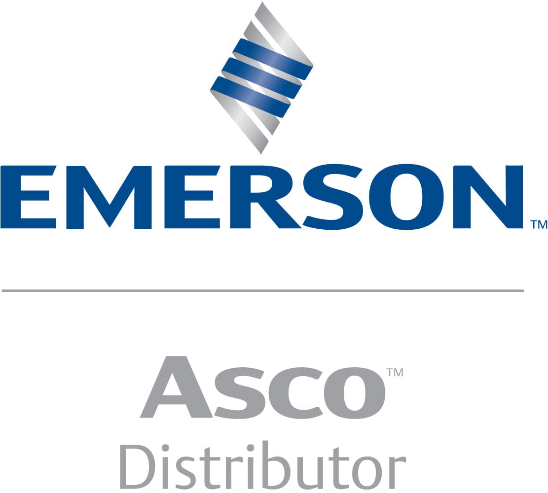 OEM Automatic Emerson Asco