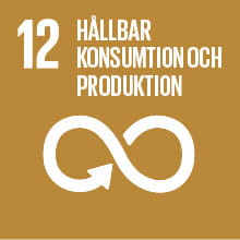 12 - Globala målen