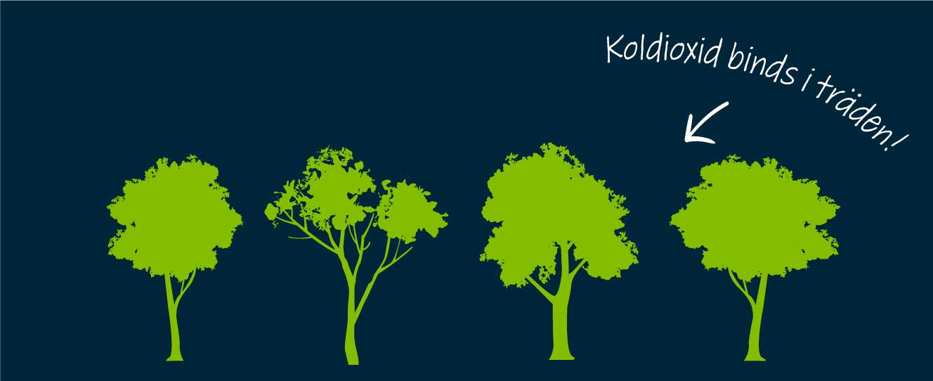 Vi klimatkompenserar