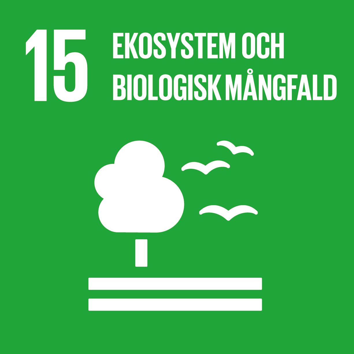 Ekosystem