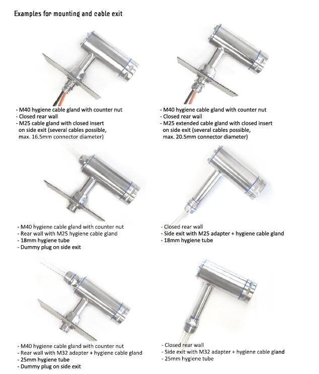 Dolphin examples.JPG