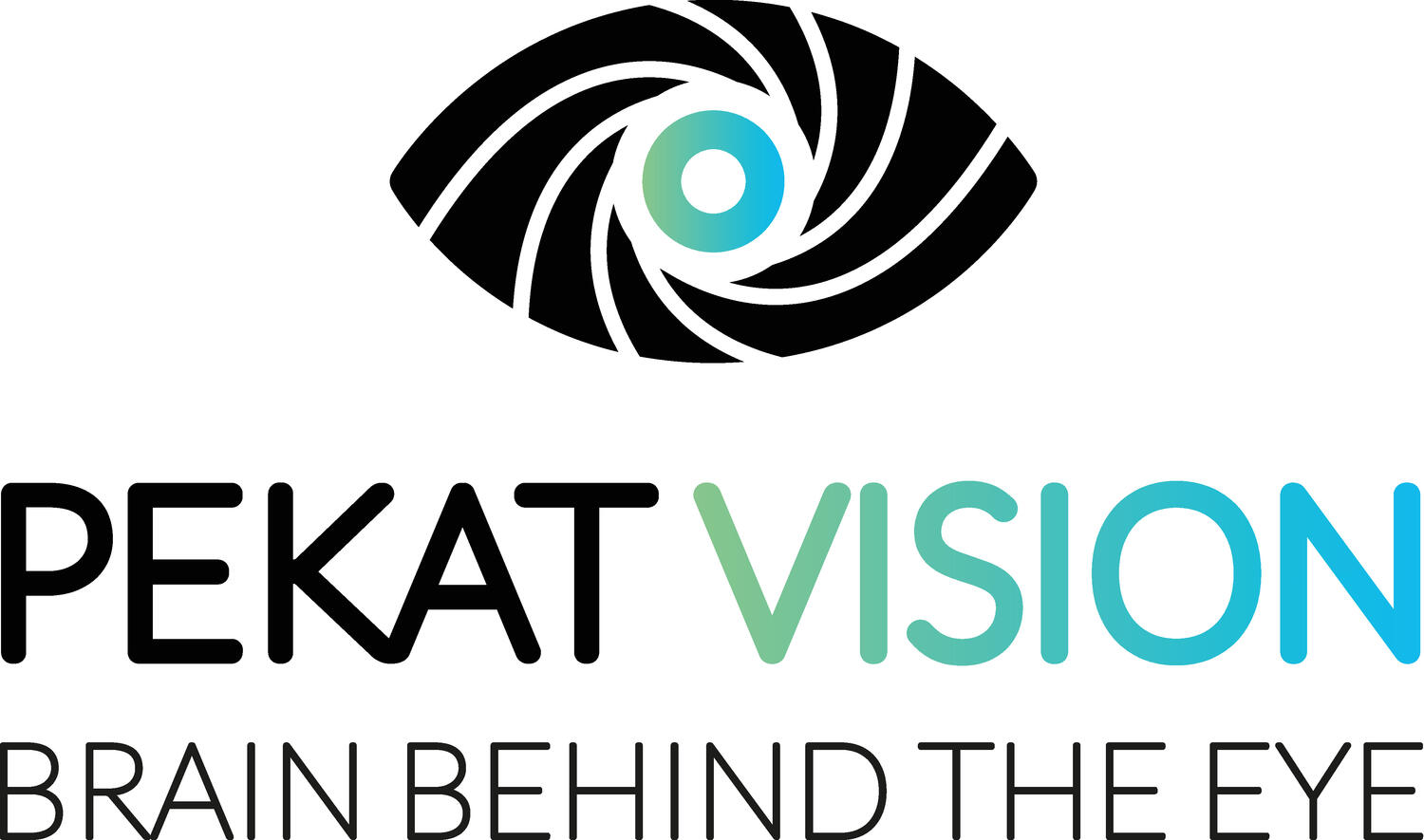 PEKAT VISION
